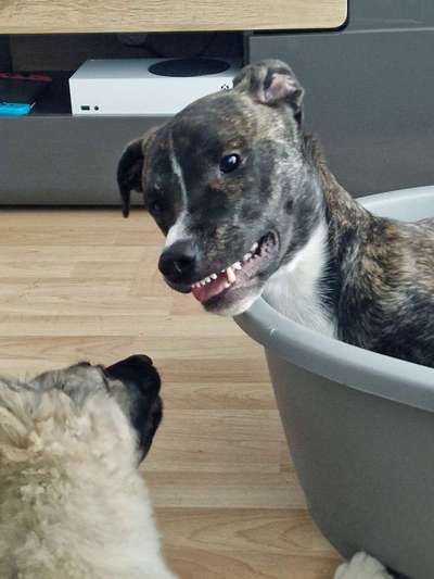 Handy-foto Challange nr. 11-Beitrag-Bild