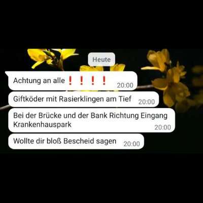 Giftköder-Giftköder mit Rasierklingen-Bild