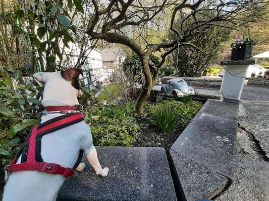 Fotochallenge 78

Es grünt und blüht-Beitrag-Bild