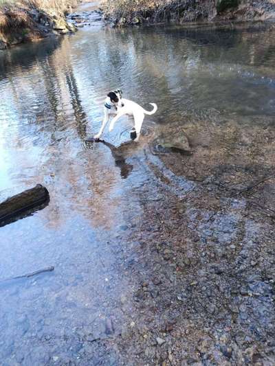 FOTOCHALLANGE NR.71 BADEFREUDE-Beitrag-Bild