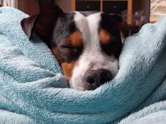 Foto Challange Nr.80-Beitrag-Bild