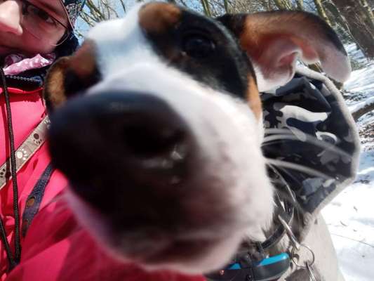 Dogorama Photo Challenge - Es wird nochmal kalt!-Beitrag-Bild