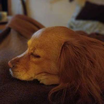 Wie habt ihr den Silvesterabend verbracht?-Beitrag-Bild