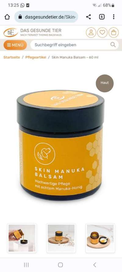 Rhodesian Ridgeback-Beitrag-Bild