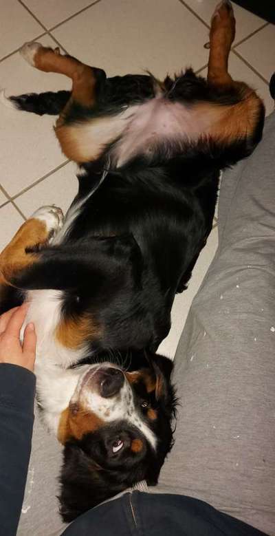 Fotochallenge Nr.65-Beitrag-Bild