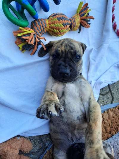 Lieblingsbild-Beitrag-Bild