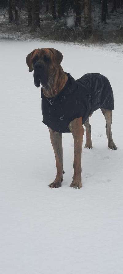 Lieblingsbild-Beitrag-Bild