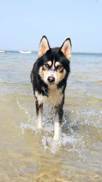 Moviestar-Pics!-Beitrag-Bild