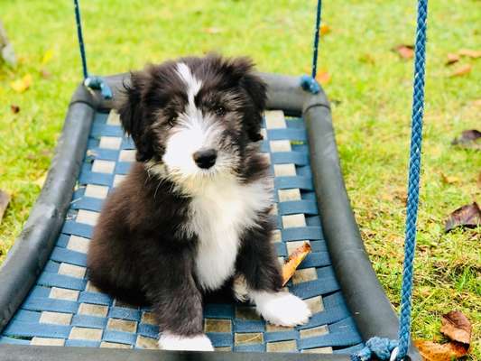 Lieblingsbild-Beitrag-Bild