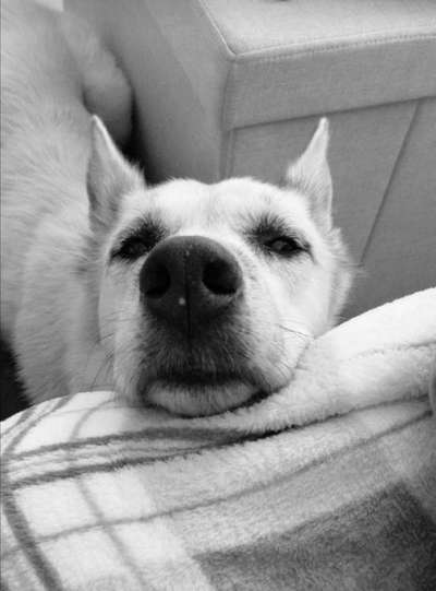 Foto-Challenge 76: Foto in Schwarz-Weiss-Beitrag-Bild