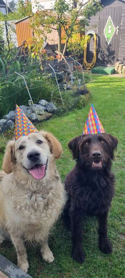 Dogorama Photo Challenge - Gegensätze-Beitrag-Bild