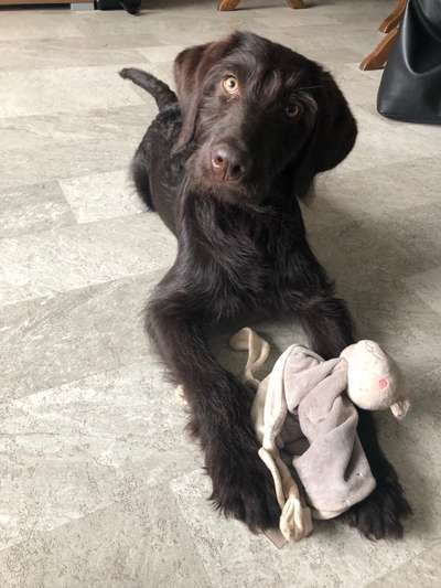 Foto Challenge die Vierte-Beitrag-Bild