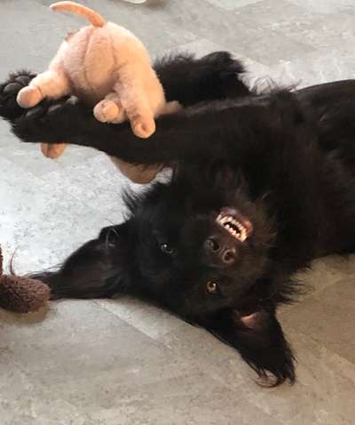 Challenge Nr. 10: "Das schönste Lächeln"-Beitrag-Bild