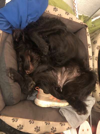 Die unbequemsten und lustigsten Schlafpositionen-Beitrag-Bild