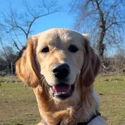 MiNa's Profilbild