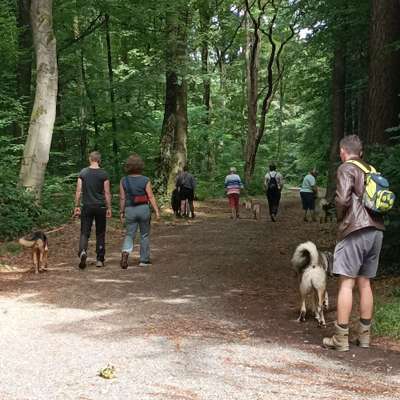 Giftköder-Social Walk & Begegnungstraining-Bild