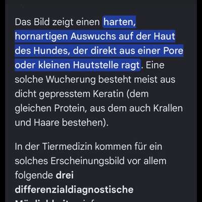 Komisches Ding aus der Haut ???-Beitrag-Bild