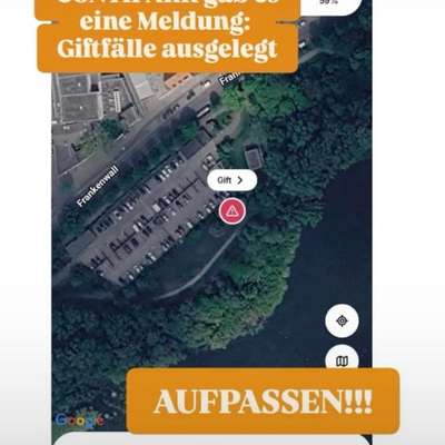 Giftköder-Giftköder-Bild