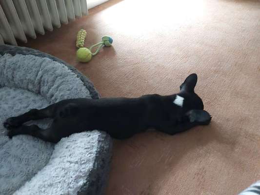 Die unbequemsten und lustigsten Schlafpositionen-Beitrag-Bild