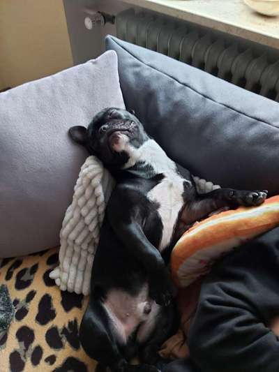 Die unbequemsten und lustigsten Schlafpositionen-Beitrag-Bild