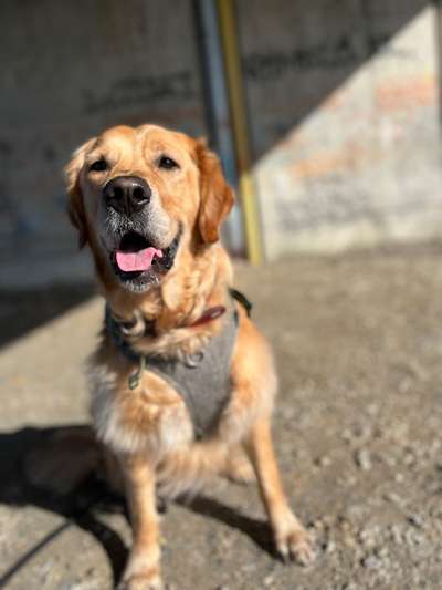 Farben Fotochallenge Sonnenlicht-Beitrag-Bild