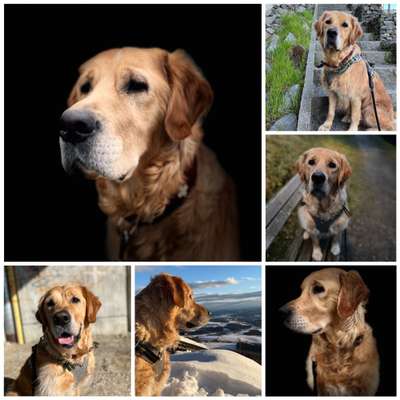 32. Collagen Challenge - eure liebsten gestellten Fotos-Beitrag-Bild