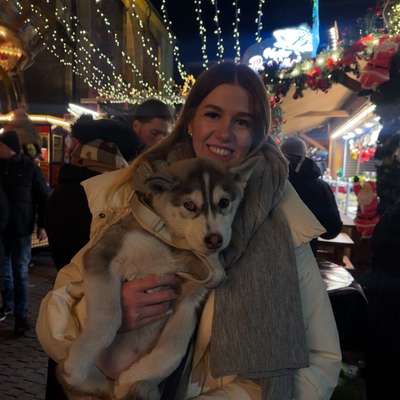 Hundetreffen-Spielrunde-Bild