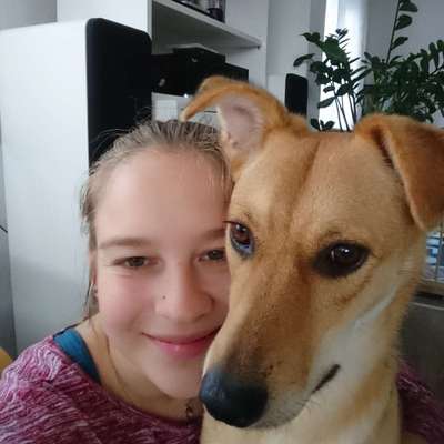 Hundetreffen-Mantrailing Hobbygruppe-Profilbild