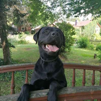 Fotochallenge Nr.122-Beitrag-Bild