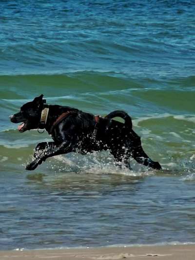 35. Handy Foto Challenge - Das nasse Element-Beitrag-Bild