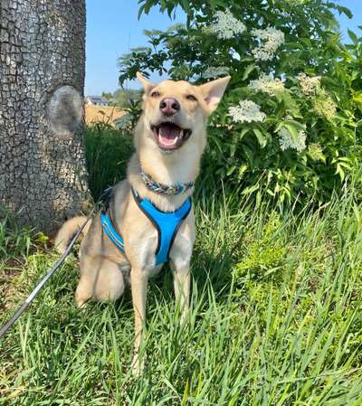 Fotochallange Nr. 57     PORTRÄT.   Beendet!!!!!!!!-Beitrag-Bild