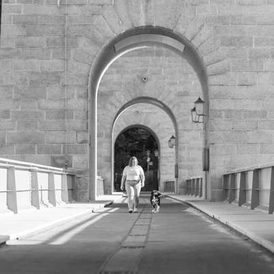 Hundetreffen-Gassi und Spielrunde