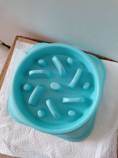 zu schnelles Fressen-Beitrag-Bild