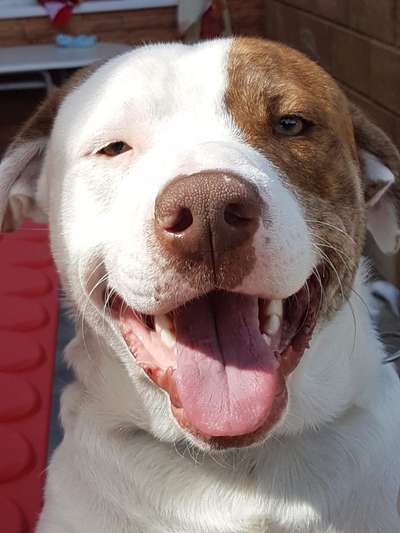 Fotochallenge Nr.122-Beitrag-Bild