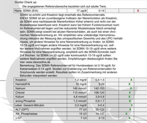 SDMA und Schilddrüse-Beitrag-Bild