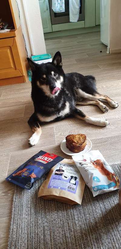 Rezepte für Hunde-Geburtstagstorte-Beitrag-Bild