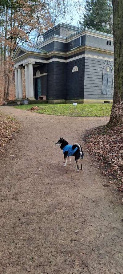 Alterstarrsinn und taub-Beitrag-Bild