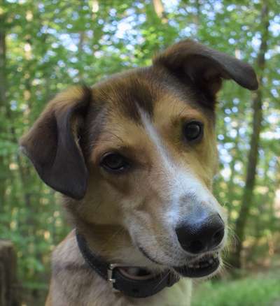 Fotochallange Nr. 57     PORTRÄT.   Beendet!!!!!!!!-Beitrag-Bild