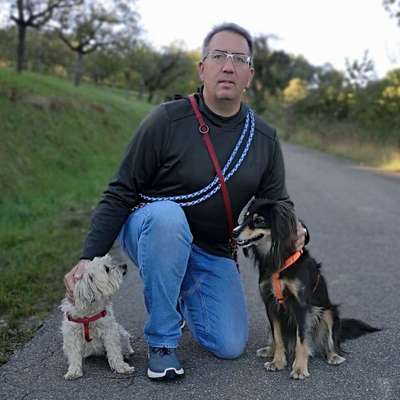 Hundetreffen-Gassirunde