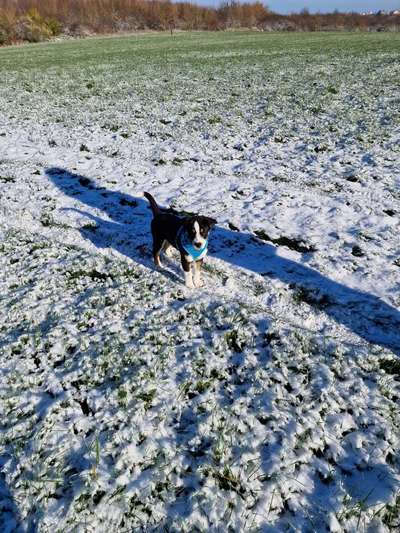 Der erste Schnee, zeigt uns eure tollen Schneemomente-Beitrag-Bild