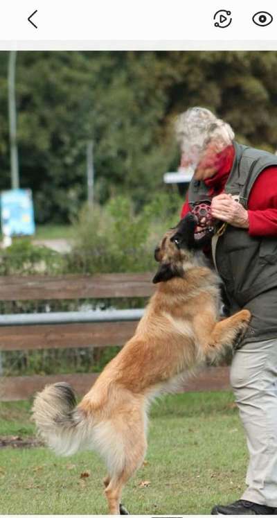 24. Handy-Foto-Challenge-Beitrag-Bild