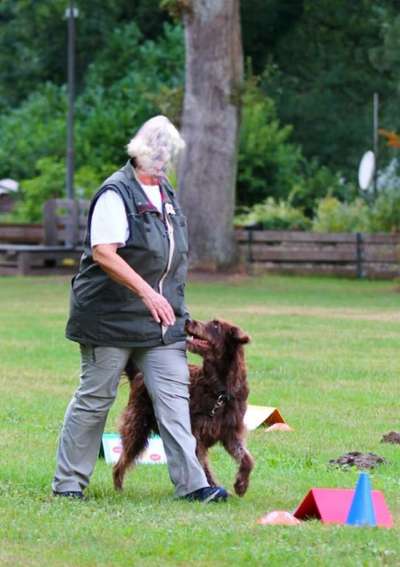 24. Handy-Foto-Challenge-Beitrag-Bild