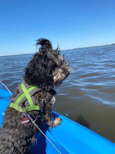 Postet eure schönsten Bilder von Spaziergängen in 2020!-Beitrag-Bild