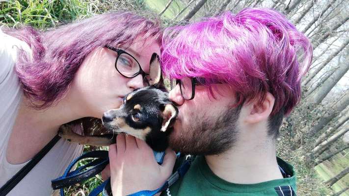 KUSCHEL PARTNER-Beitrag-Bild