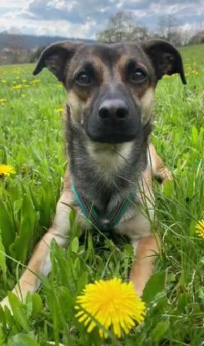 Fotochallange Nr. 57     PORTRÄT.   Beendet!!!!!!!!-Beitrag-Bild