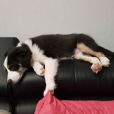 Die unbequemsten und lustigsten Schlafpositionen-Beitrag-Bild