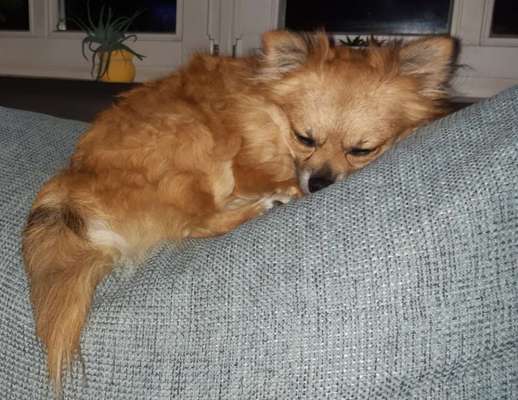 4. Lustiger Schlafplatz-Beitrag-Bild