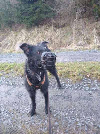 42.Fotochallenge - Eure schönen Momente beim Spaziergang-Beitrag-Bild