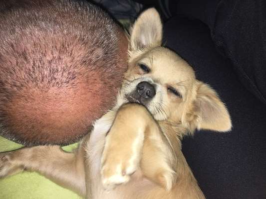 4. Lustiger Schlafplatz-Beitrag-Bild