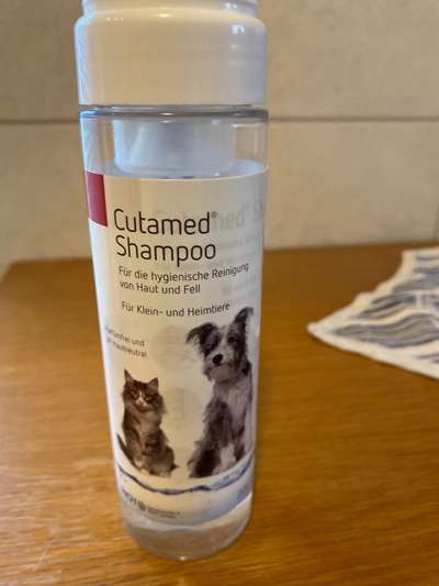 Juckreiz ?-Beitrag-Bild